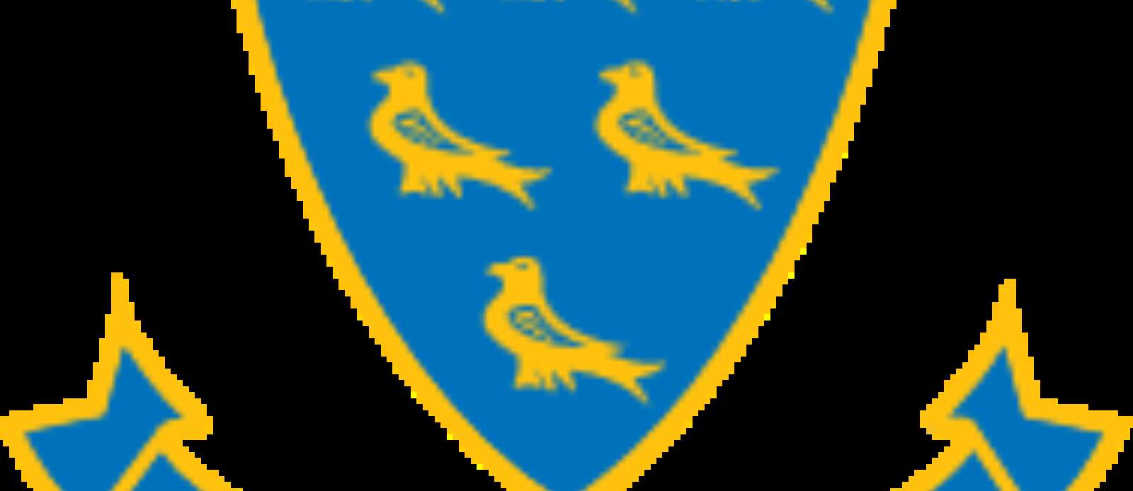 Physiotherapist, Sussex Cricket Header Image.