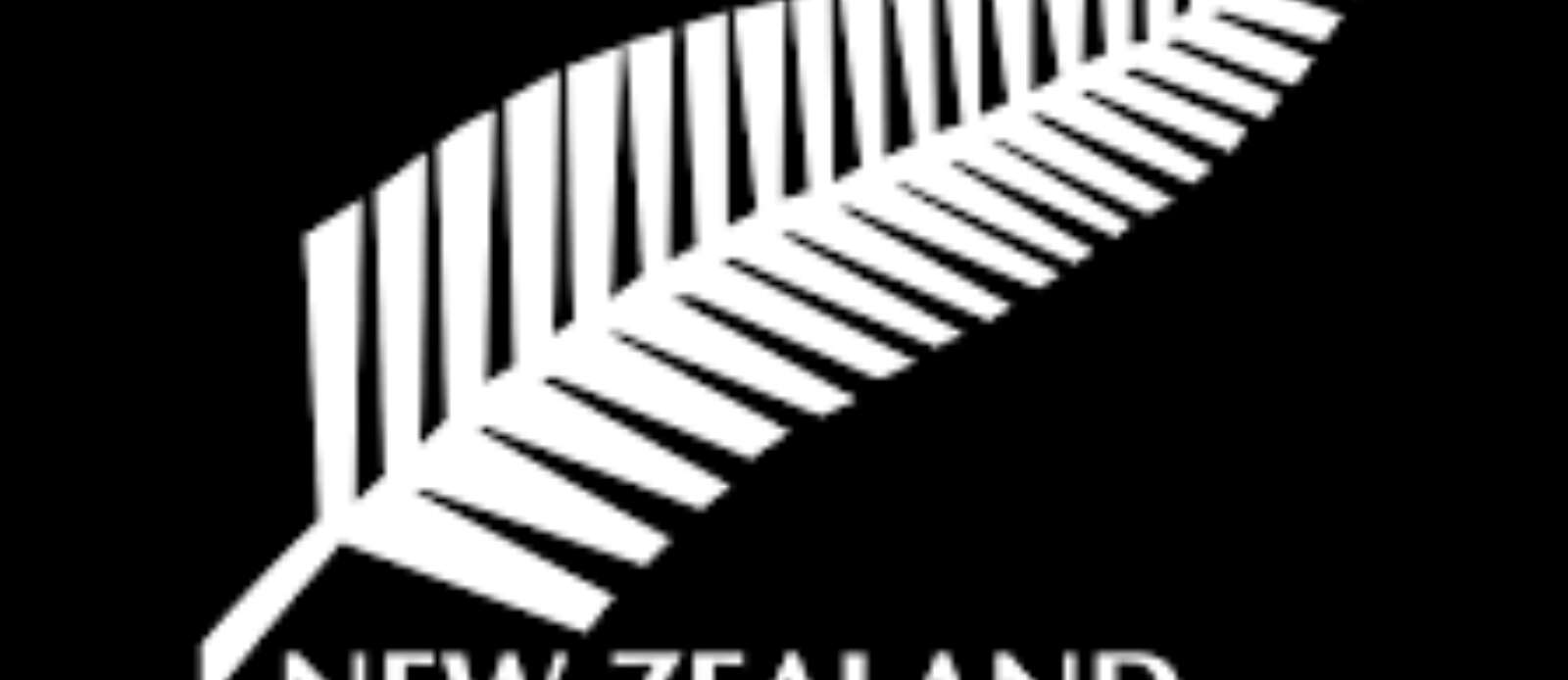 Head of Commercial Revenue Header Image.