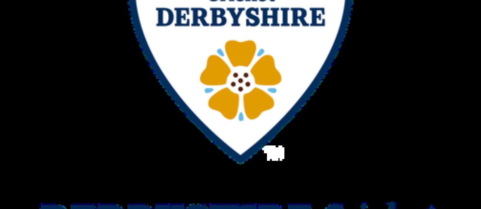 County Safeguarding & Anti-Discrimination Officer Header Image.