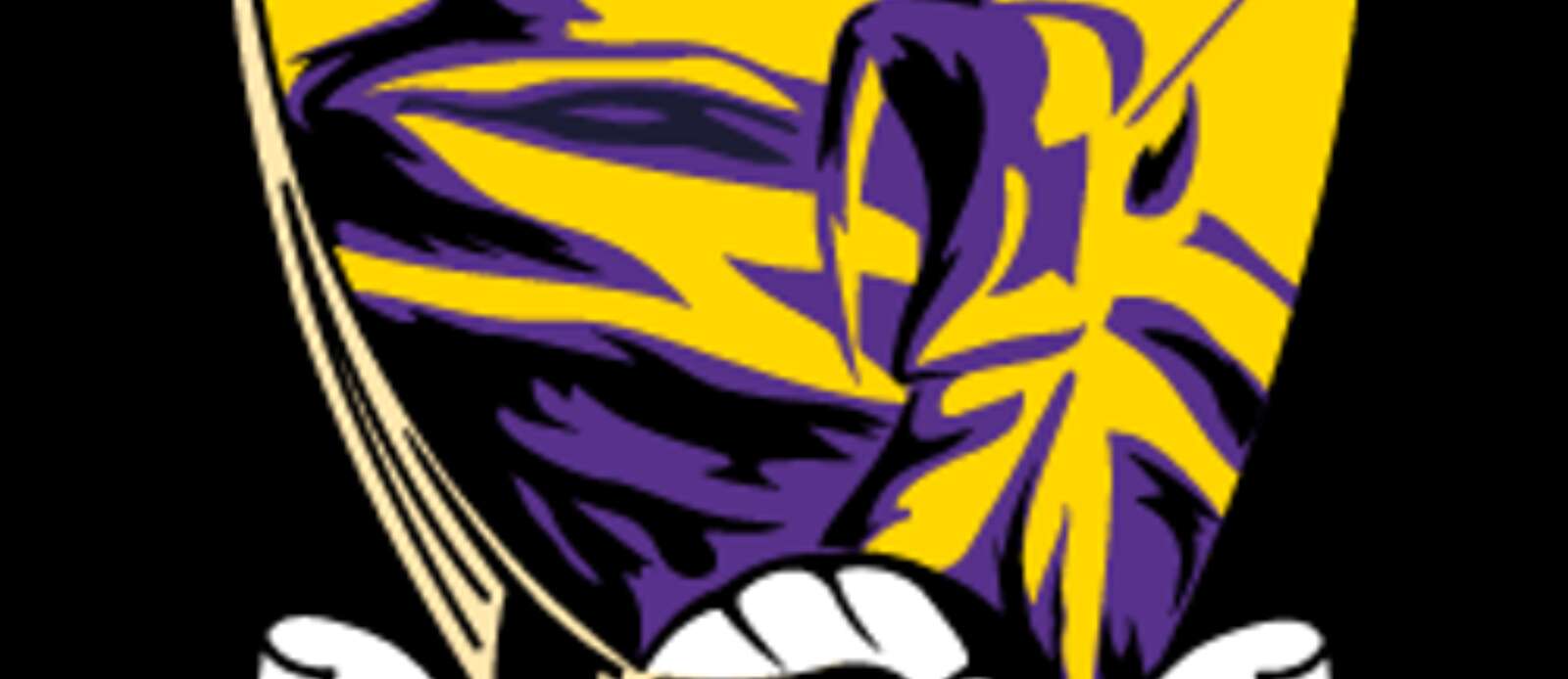 County Games Development Coordinator Header Image.
