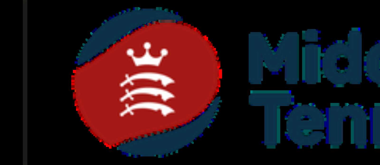 Competition Coordinator Header Image.