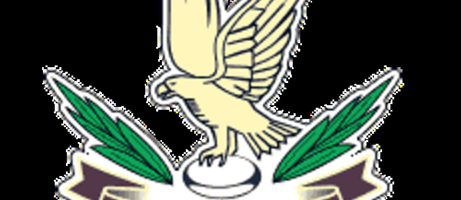 Community Engagement Coordinator – Beyond the Tryline Header Image.