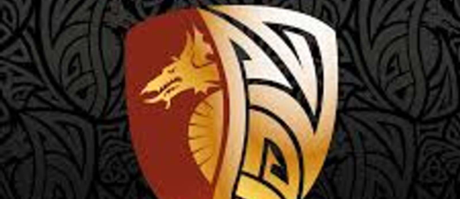 RGC Senior Team and Men’s Pathway Therapist Header Image.