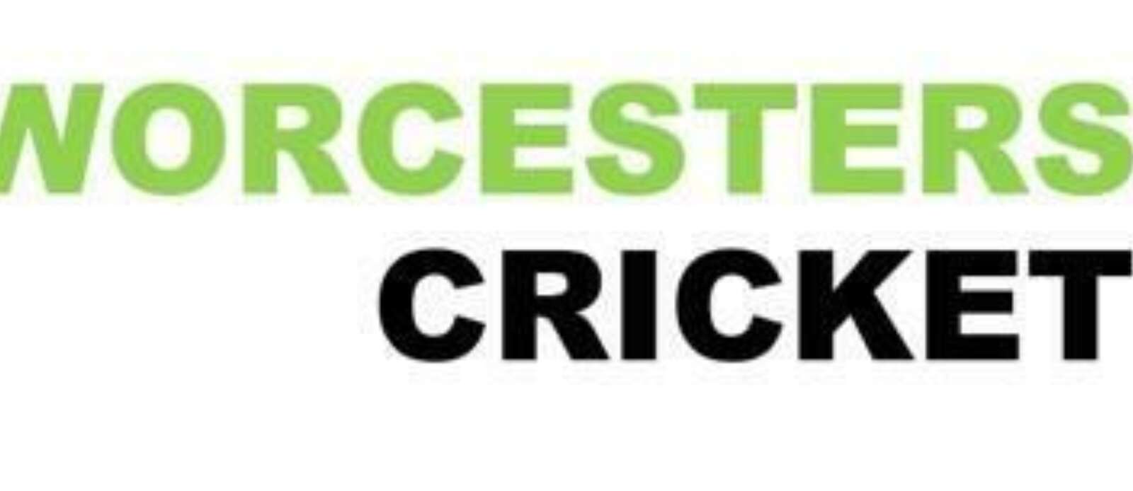Director of Cricket Header Image.