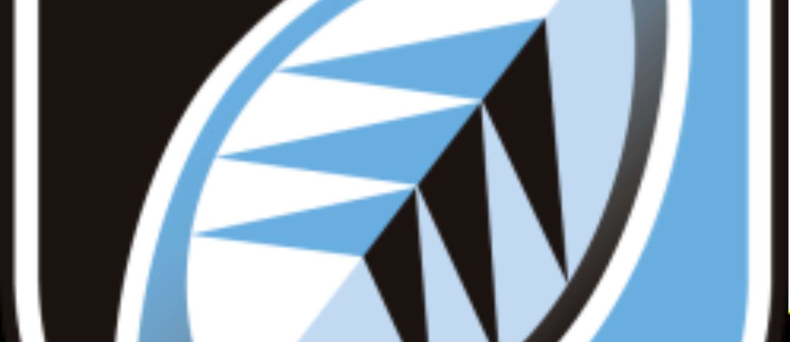 Chief Executive Officer Header Image.