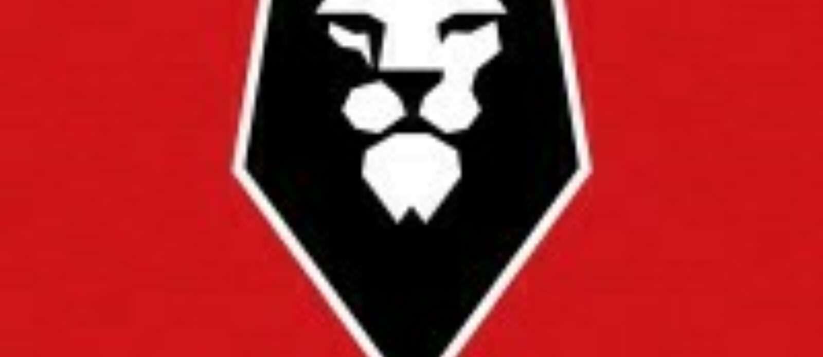 Women and Girls Development Officer (Salford City FC Foundation) Header Image.