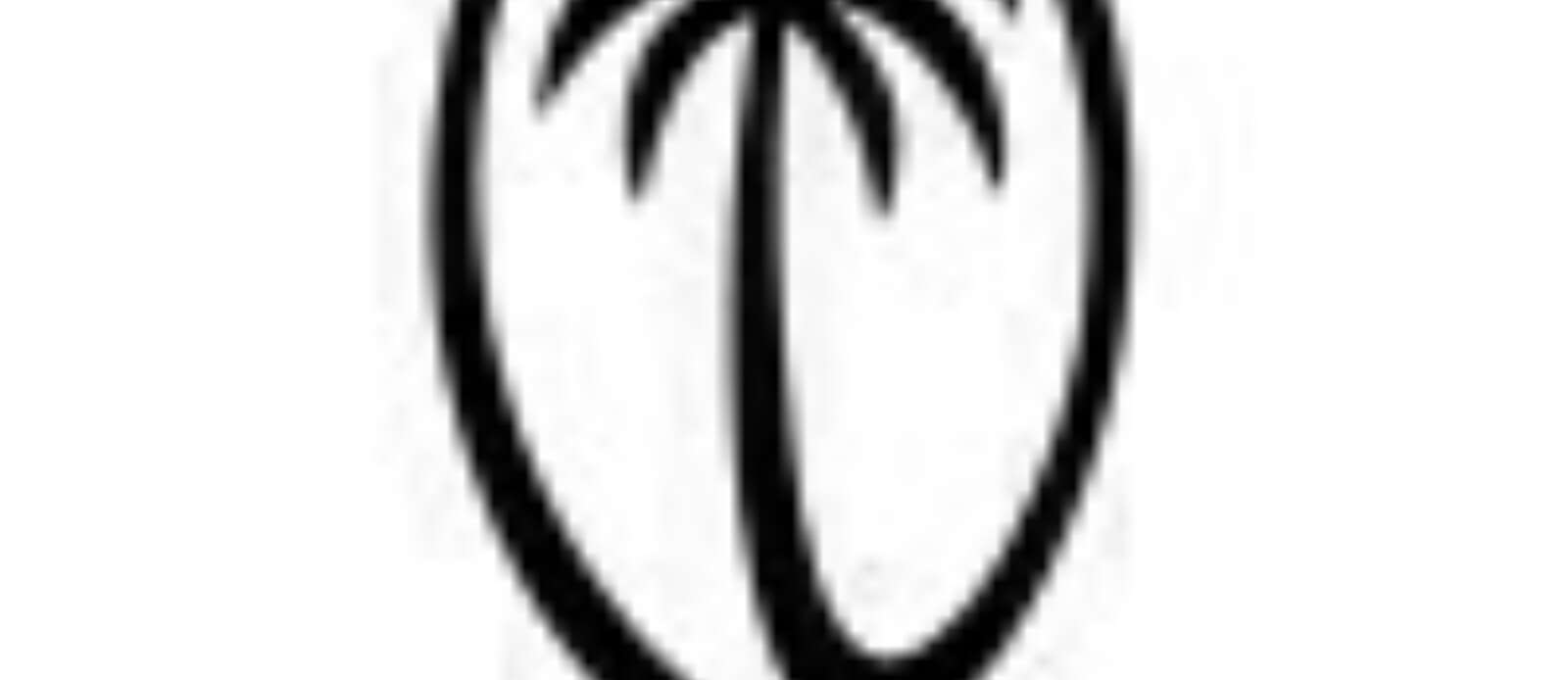 Head Coach Drua Header Image.