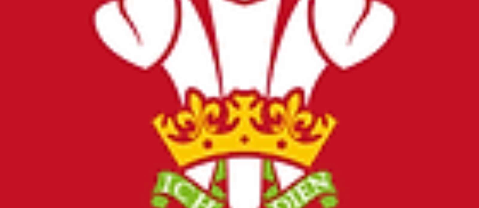 Hoci Cymru Business & Finance Manager Header Image.