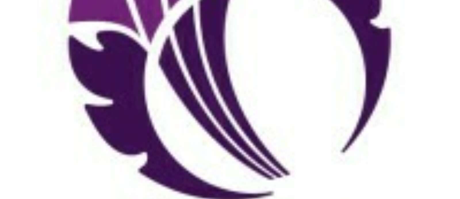 Independent Non-Executive Director: Cricket Scotland Header Image.