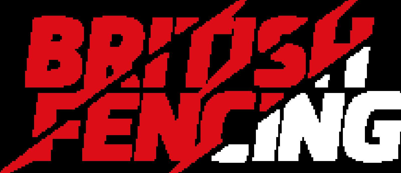 Head of Paralympic Performance Header Image.