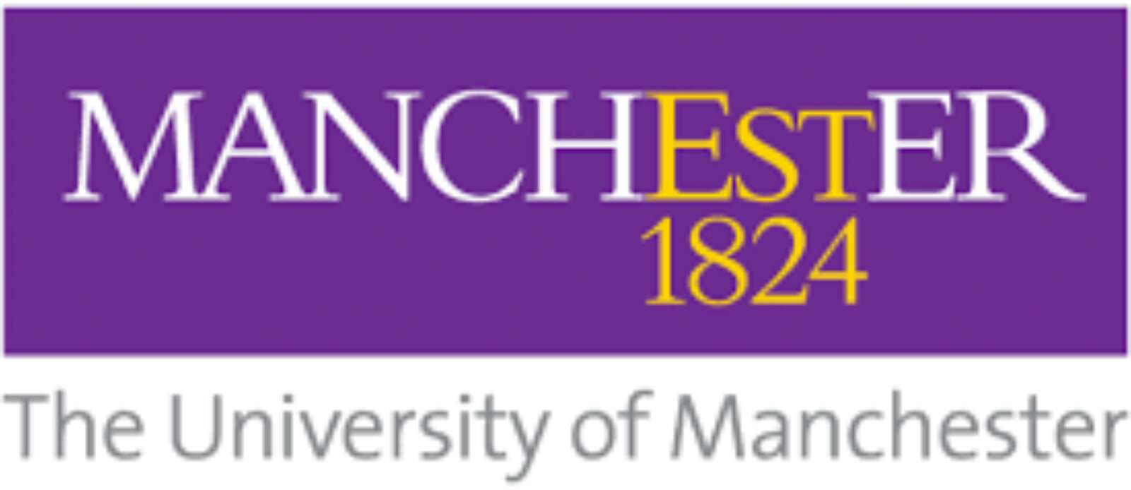 Rowing Coach Header Image.